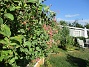 IMG_0033  
                                 
2019-07-01 IMG_0033