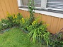 Vinkeln  
                                 
2019-07-03 Vinkeln_0077