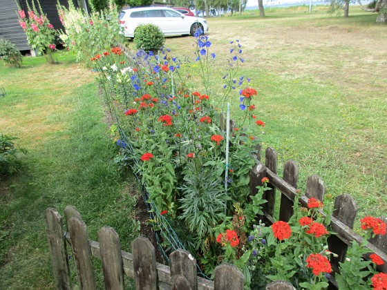 Blommor  
                                 
2019-07-10 Blommor_0145  
Granudden  
Färjestaden  
Öland