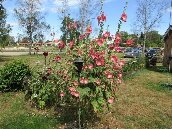 Granudden  
                                 
2019-07-22 Granudden_0015  
Granudden  
Färjestaden  
Öland