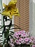 IMG_0030  
                                 
2019-08-31 IMG_0030