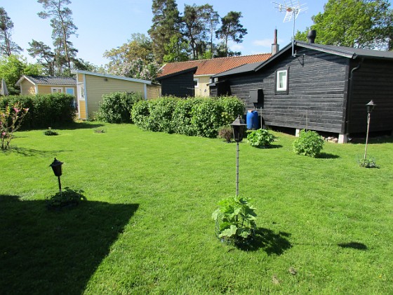 Granudden  
Äntligen har jag lyckats med min gräsmatta!                                 
2020-05-27 Granudden_0029  
Granudden  
Färjestaden  
Öland