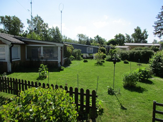 Granudden 
Det börjar bli lite gult i min nysådda gräsmatta. Det kom regn för ett par dagar sedan, 15 mm, men det behövs nog mera.                               