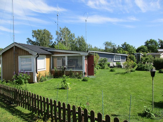 Granudden 
Det börjar bli lite gult i min nysådda gräsmatta. Det kom regn för ett par dagar sedan, 15 mm, men det behövs nog mera.                               