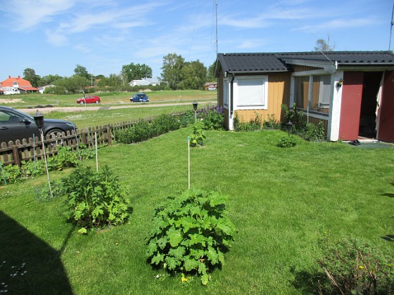 Gräsmattan 
Det börjar bli lite gult i min nysådda gräsmatta. Det kom regn för ett par dagar sedan, 15 mm, men det behövs nog mera.                               