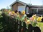                                 (2020-07-25 Lilja_104)