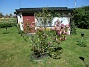                                (2021-05-29 Magnolia_0037)