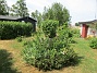  (2021-07-04 Granudden_0046)