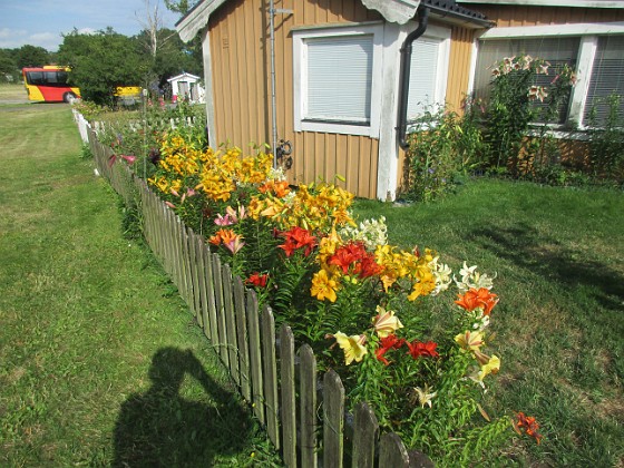 Granudden 
Bild tagen under sen eftermiddag i vacker kvällssol.                            