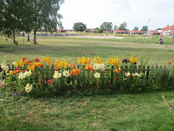 Granudden  
Bild tagen under sen eftermiddag. Ljust mulet eller svag sol                                 
2022-07-18 Granudden_0094  
Granudden  
Färjestaden  
Öland