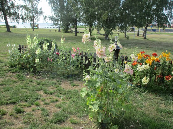 Granudden  
Bild tagen under sen eftermiddag. Ljust mulet eller svag sol                                 
2022-07-18 Granudden_0095  
Granudden  
Färjestaden  
Öland