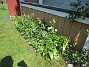 Altanen  
                                 
2023-05-24 Altanen_0065