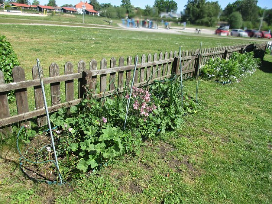 Granudden  
  
2023-05-30 Granudden_0003  
Granudden  
Färjestaden  
Öland