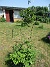  (2023-06-20 Granudden_0033)