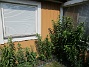  (2023-06-20 Vinkeln_0104)