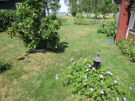 Granudden  
                                 
2023-07-15 Granudden_0067  
Granudden  
Färjestaden  
Öland