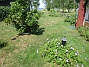                                 (2023-07-15 Granudden_0067)