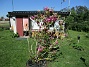                                 (2024-05-15 Magnolia_0020)