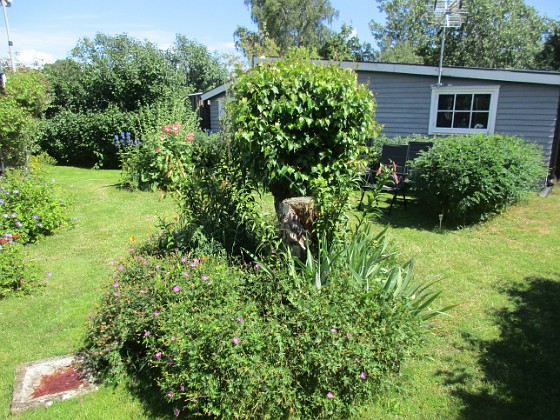 Björken  
  
2024-07-05 Björken_0065  
Granudden  
Färjestaden  
Öland