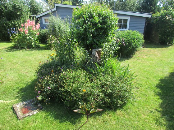 Björken  
  
2024-07-10 Björken_0070  
Granudden  
Färjestaden  
Öland