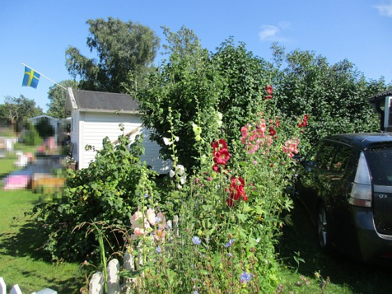 Bakgården  
  
2024-07-18 Bakgården_0017  
Granudden  
Färjestaden  
Öland