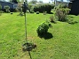                                 (2025-05-12 Granudden_0007)