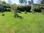                                 (2025-05-12 Granudden_0032)