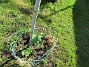 IMG_0004  
                                 
2025-05-14 IMG_0004