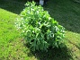 IMG_0005  
                                 
2025-05-14 IMG_0005