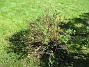 IMG_0007  
                                 
2025-05-14 IMG_0007
