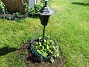 IMG_0008  
                                 
2025-05-14 IMG_0008