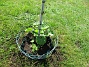 IMG_0009  
                                 
2025-05-14 IMG_0009