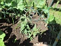 IMG_0011  
                                 
2025-05-14 IMG_0011