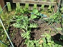 IMG_0012  
                                 
2025-05-14 IMG_0012