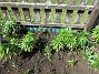 IMG_0015  
                                 
2025-05-14 IMG_0015