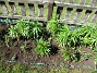 IMG_0016  
                                 
2025-05-14 IMG_0016