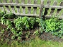 IMG_0019  
                                 
2025-05-14 IMG_0019