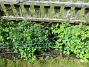 IMG_0022  
                                 
2025-05-14 IMG_0022