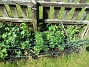 IMG_0024  
                                 
2025-05-14 IMG_0024