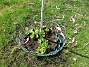 IMG_0048  
                                 
2025-05-14 IMG_0048