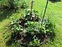 IMG_0054  
                                 
2025-05-14 IMG_0054