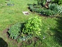 IMG_0062  
                                 
2025-05-14 IMG_0062
