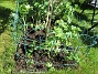 IMG_0101  
                                 
2025-05-14 IMG_0101
