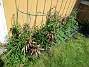 Vinkeln  
  
2025-05-14 Vinkeln_0088