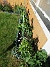Vinkeln  
                                 
2025-05-23 Vinkeln_0076