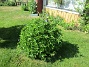 IMG_0058  
                                 
2025-06-21 IMG_0058