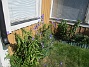                                 (2025-06-21 Vinkeln_0017)