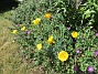 IMG_0012  
                                 
2025-06-29 IMG_0012