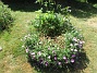 IMG_0021  
                                 
2025-06-29 IMG_0021