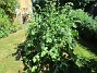 IMG_0048  
                                 
2025-06-29 IMG_0048